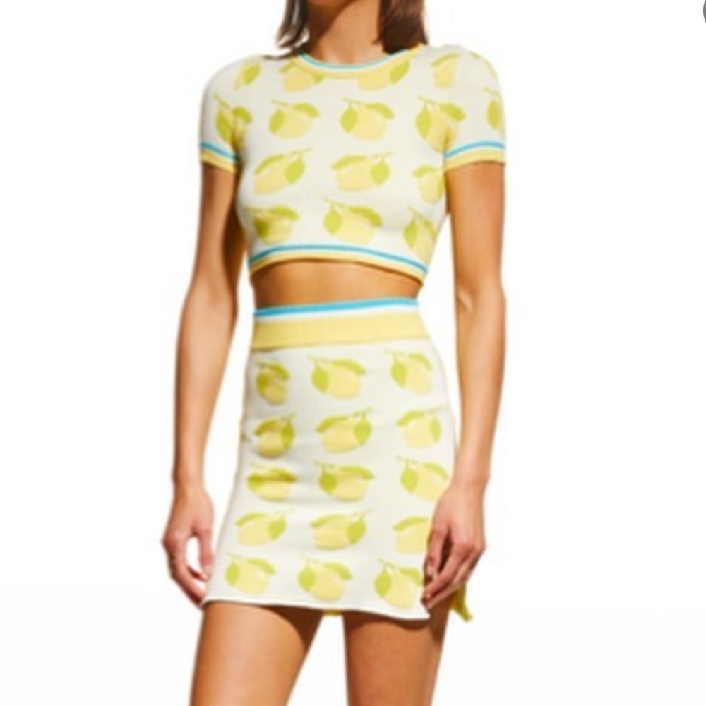 Solid and striped set -both pieces june top and Rosie skirt lemons print